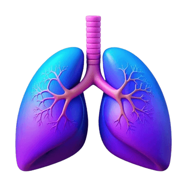 Lung Illustration